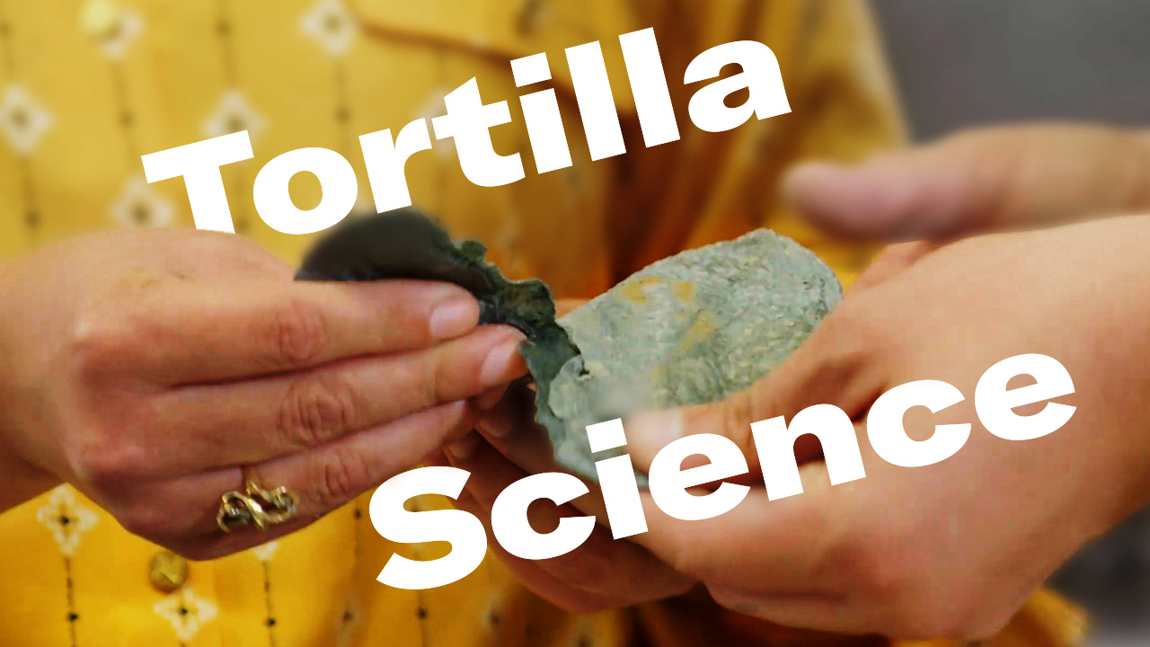 Your Abuela's Tortillas Suck, Here's Why